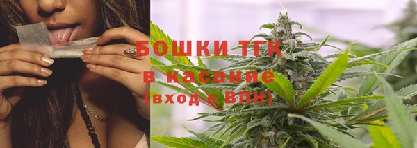 индика Краснослободск