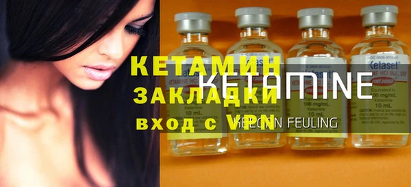 прущие грибы Корсаков