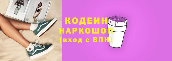 индика Краснослободск