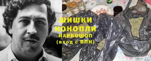 индика Краснослободск