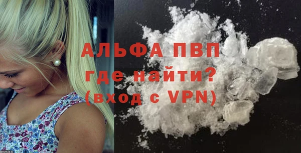 прущие грибы Корсаков