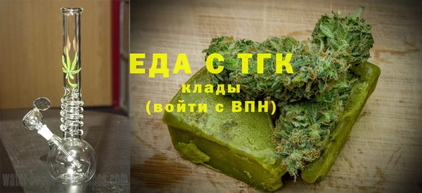 индика Краснослободск