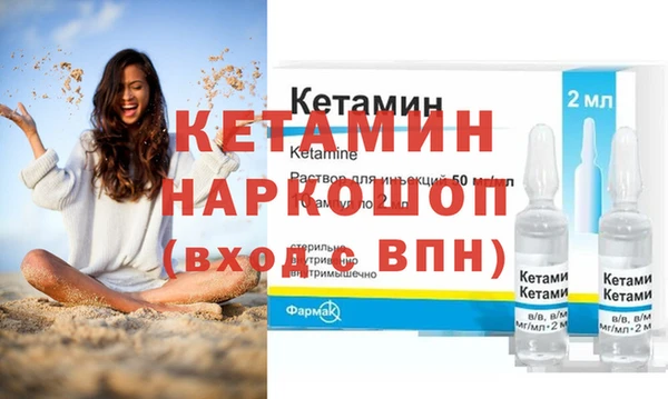 прущие грибы Корсаков