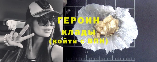 прущие грибы Корсаков
